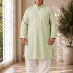 Men’s Plus Size Pista Green Solid Kurta