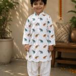 Multi coloured elephant kurta for boys