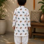 Multi coloured elephant kurta for boys